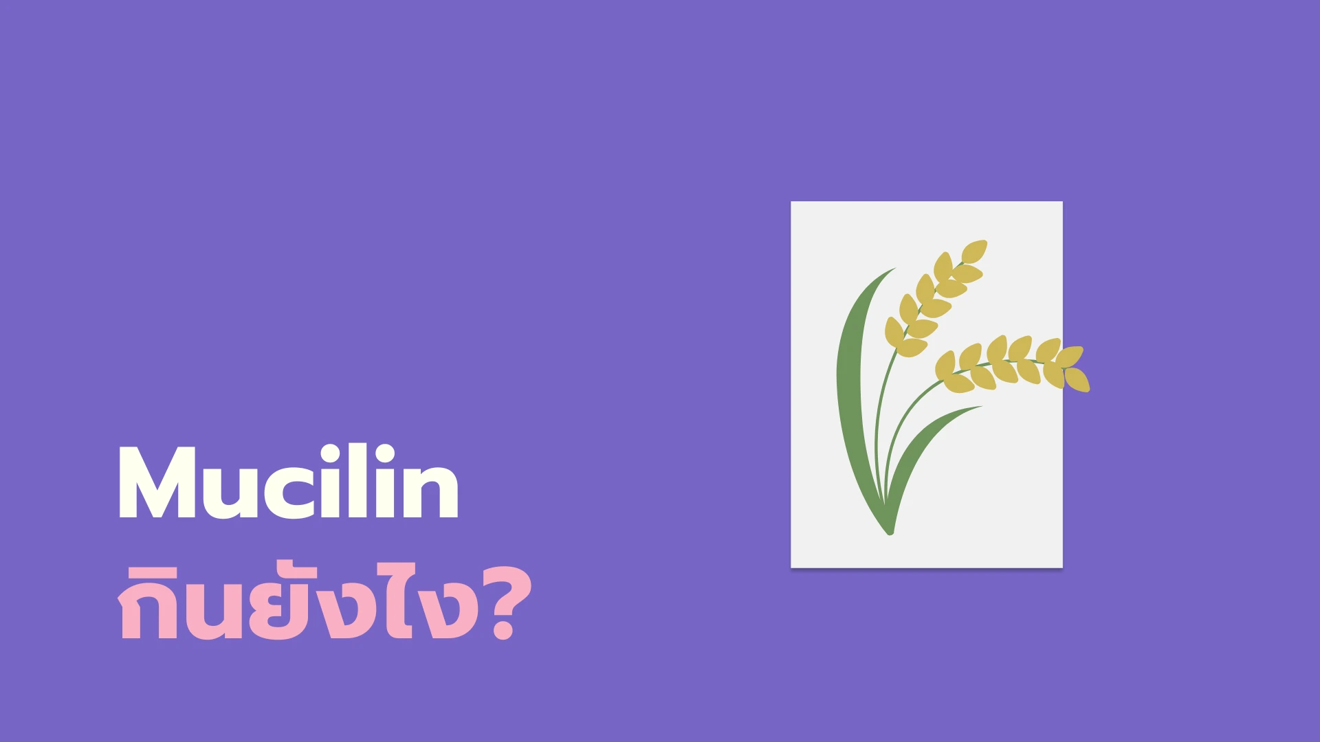 ยา Mucilin กินยังไง?