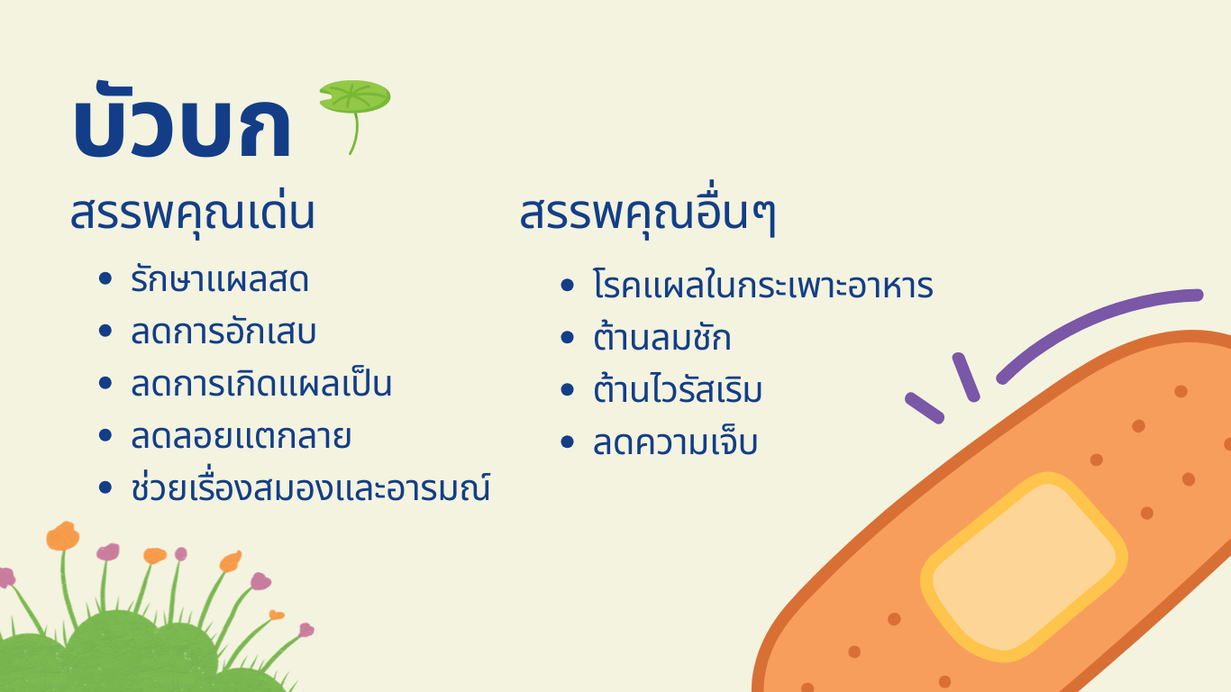 สรรพคุณบัวบก