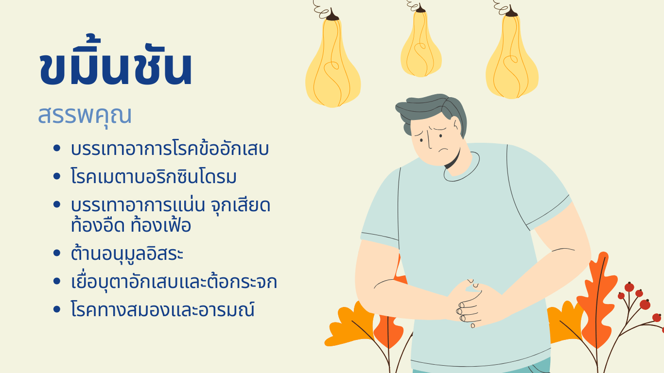 สรรพคุณขมิ้นชัน